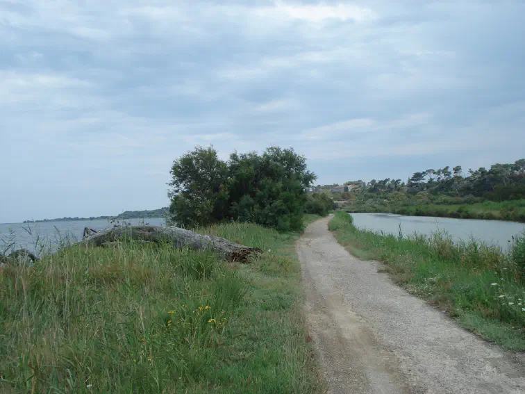 2014-07-25_03.jpg