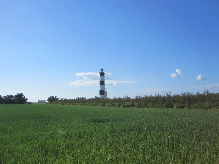 20190505-05_0.jpg