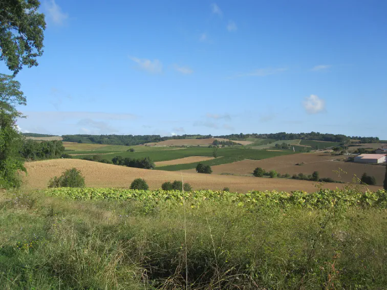 In den Hügeln nördlich von Gaillac