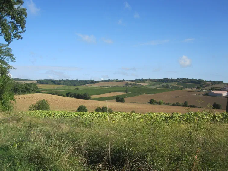 In den Hügeln nördlich von Gaillac