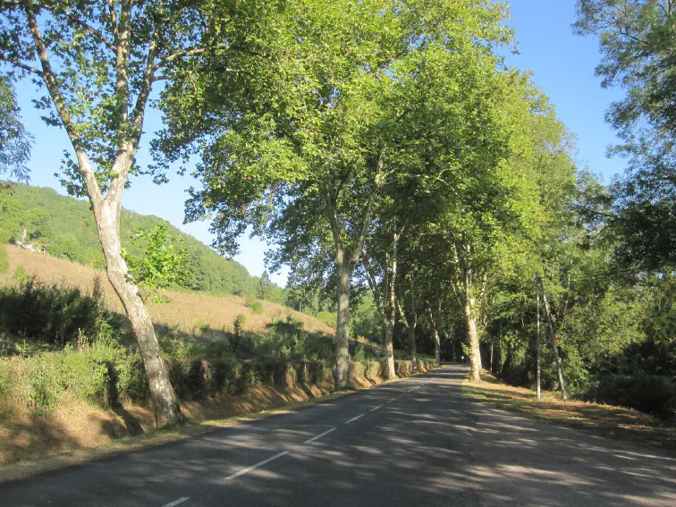 Zwischen St.Antonin und Caylus