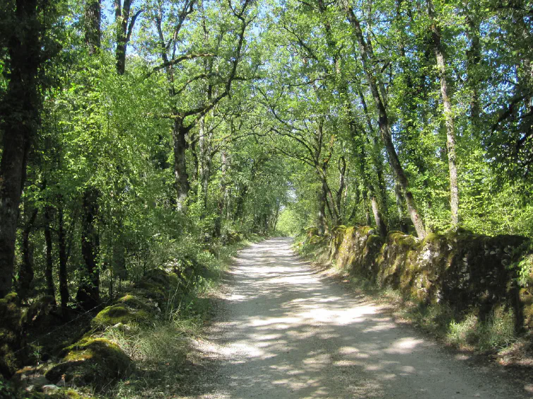 Auf dem Causse de Limogne