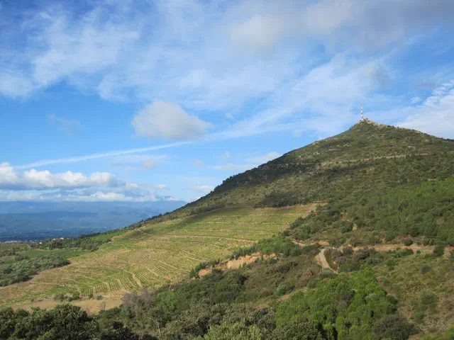 ForçaReal_01_2.jpg