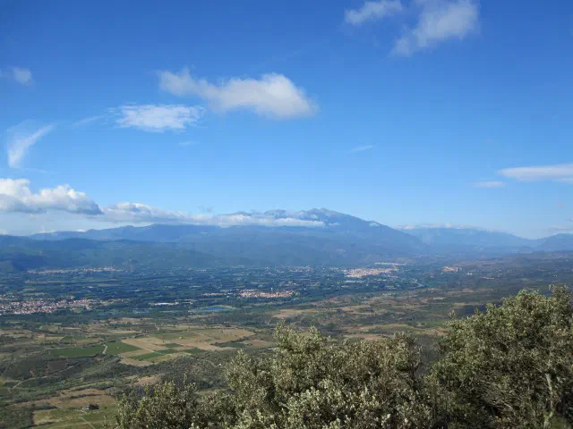 ForçaReal_02_0.jpg