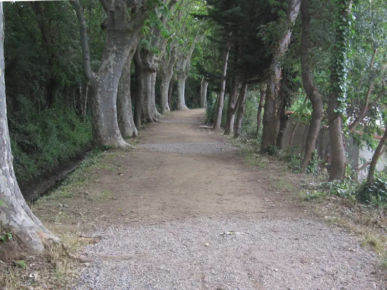 canal_de_perpignan_02_0.jpg