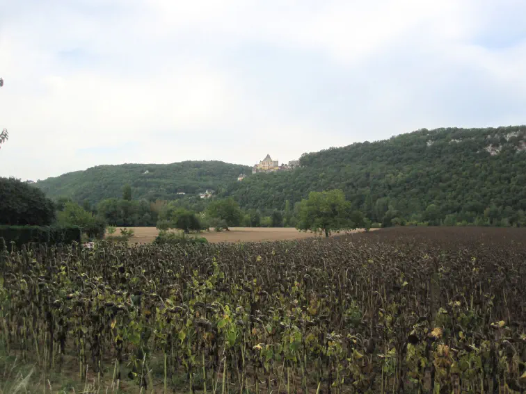 Blick zurück auf Beynac