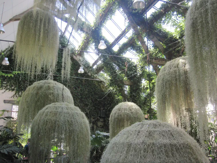 Tropisches Gewächshaus im Park von Chaumont