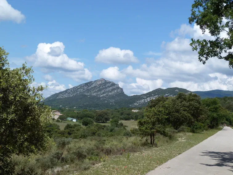 Montagne de la Fage bei St.Hippolyte-du-Fort