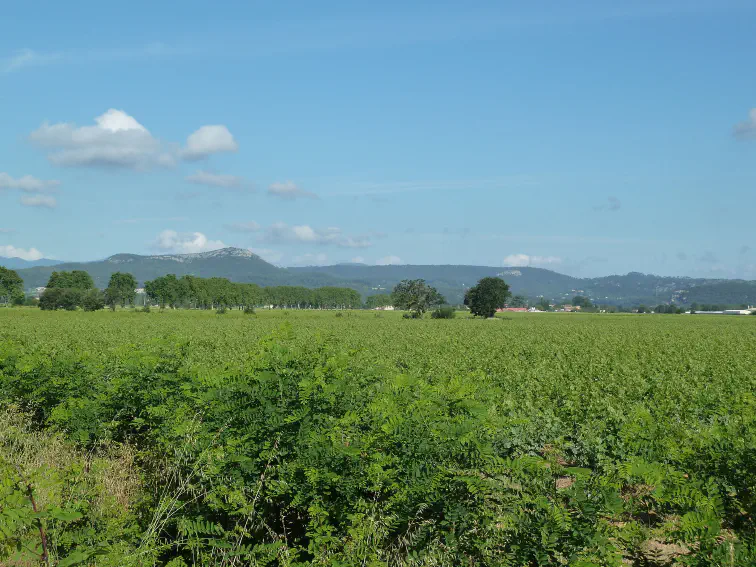 Blick auf die Cevennen