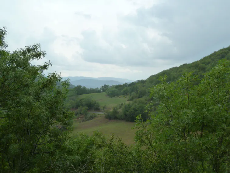 Blick ins Tal des Orb