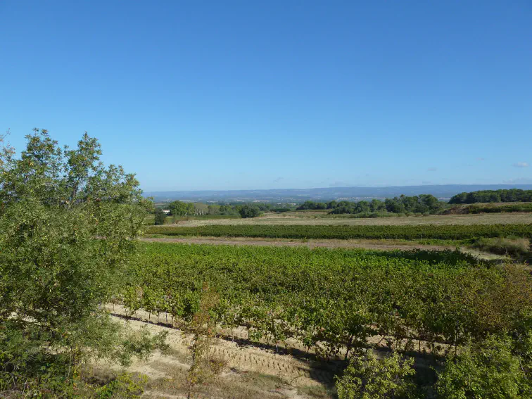 Blick von der D119 zur Montagne Noire