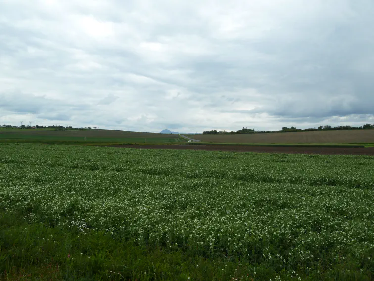 Der Puy de Dôme ganz weit weg