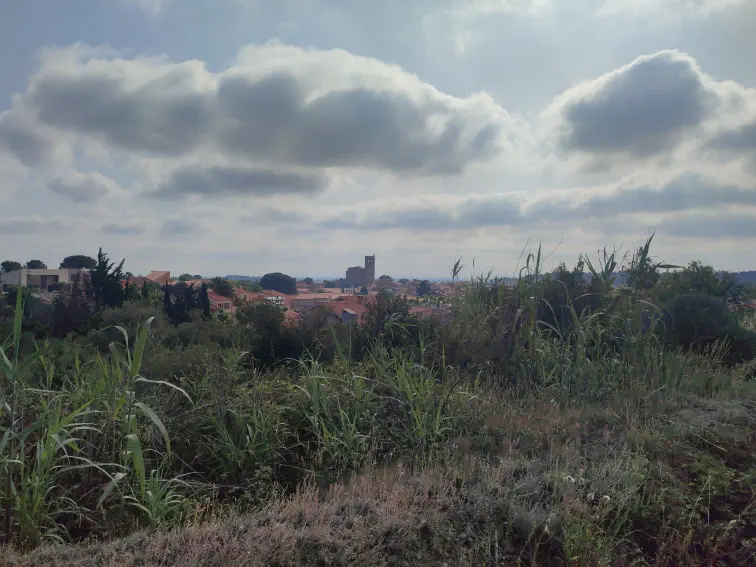 Baixas