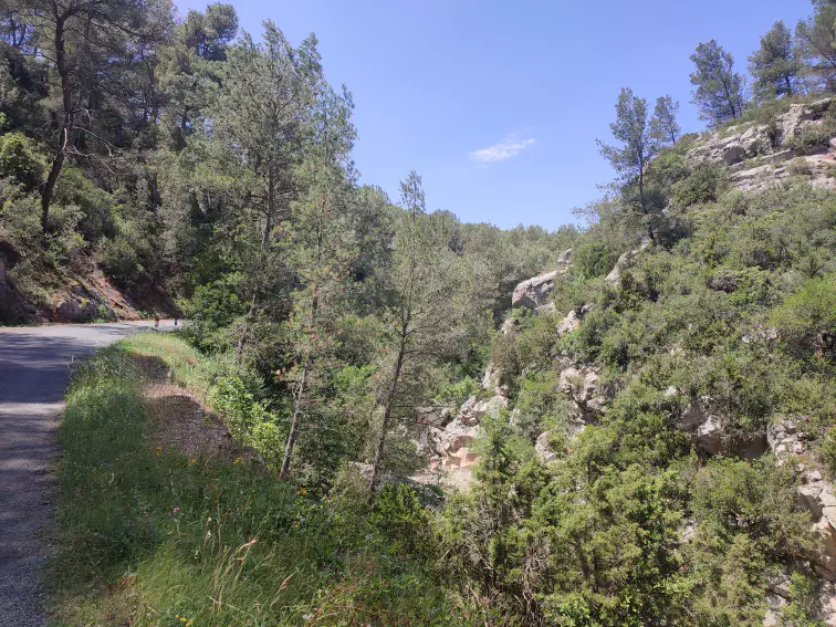 Zwischen Bize-Minervois und Saint- Chinian