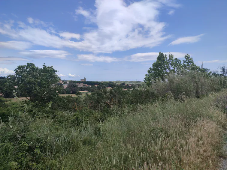 Blick auf Capestang