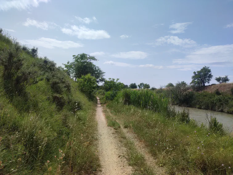 Wieder am Canal du Midi: Radweg oder Trampelpfad?