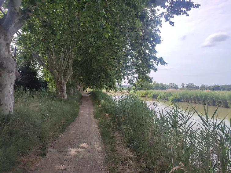 Am Canal de la Robine zwischen Narbonne und Port-la-Nouvelle