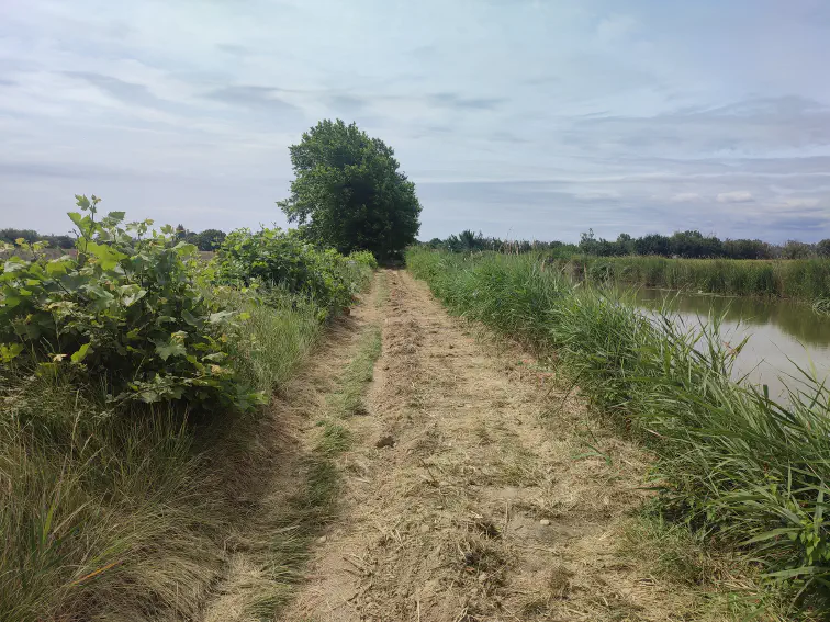 Am Canal de la Robine zwischen Narbonne und Port-la-Nouvelle