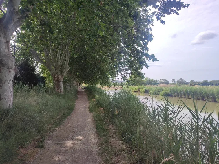 Am Canal de la Robine zwischen Narbonne und Port-la-Nouvelle