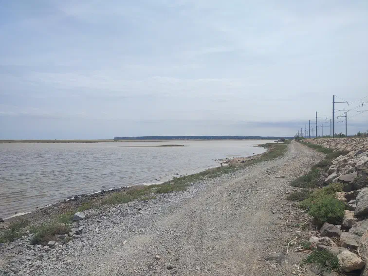 Zwischen Port-la-Nouvelle und La Franqui